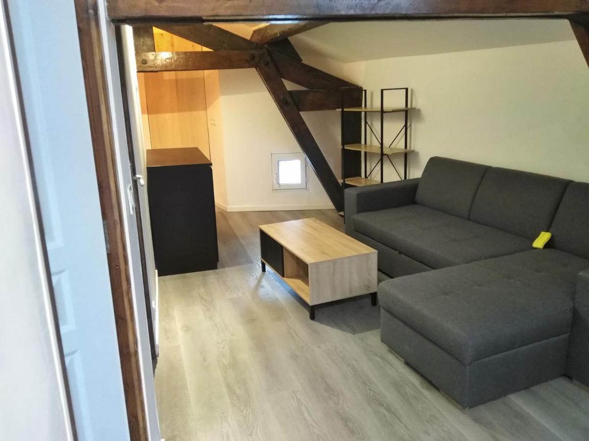 Detente - Appartement Et Poutres Apparentes Béziers Eksteriør bilde