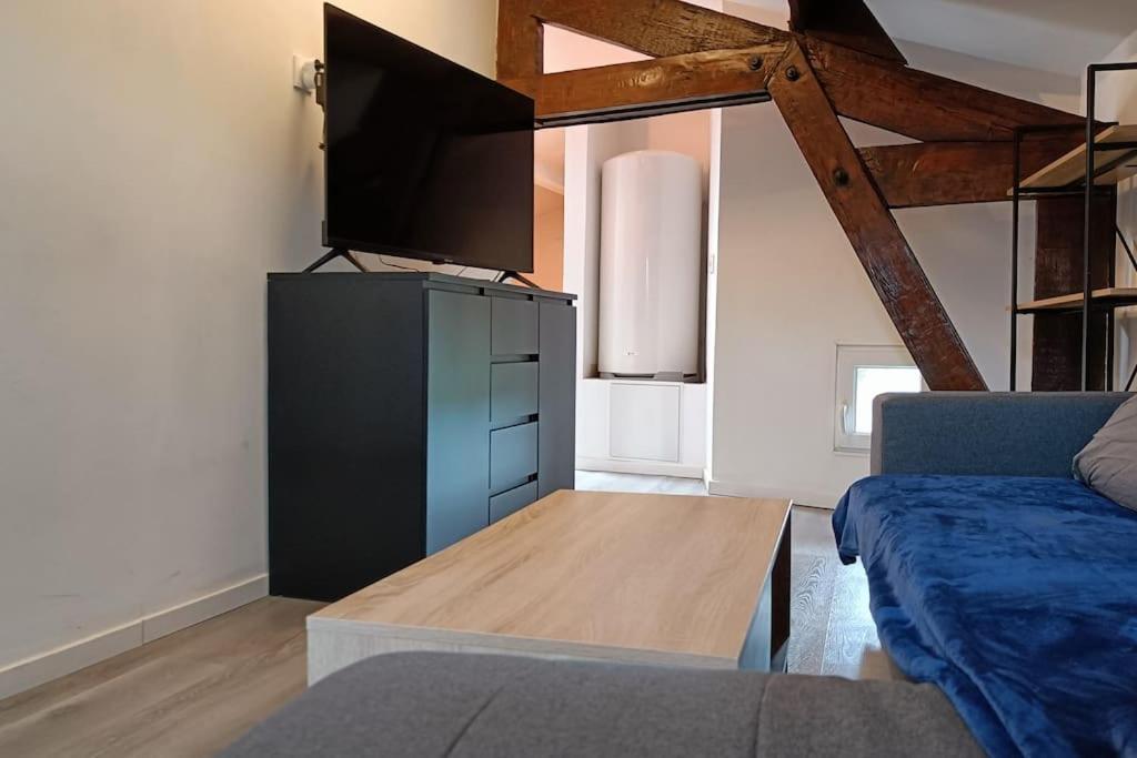 Detente - Appartement Et Poutres Apparentes Béziers Eksteriør bilde