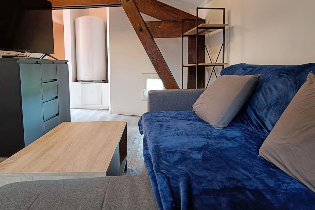 Detente - Appartement Et Poutres Apparentes Béziers Eksteriør bilde